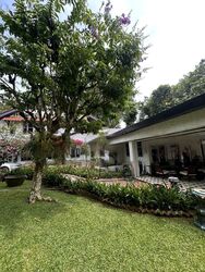 Duchess Avenue (D10), Detached #481271541